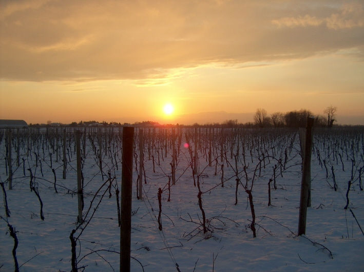 Thumbnail: Pighin, Collio Bianco 'Soreli' DOC, 2020