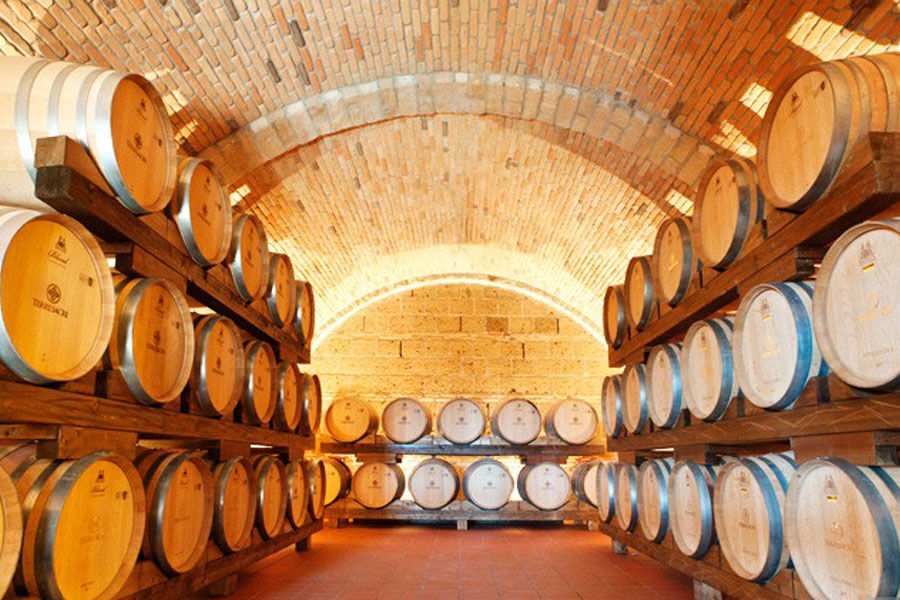 Thumbnail: Terresacre, Montepulciano 'Rispetto Experimentia Manet' DOC, 2013
