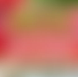 夏のキャンペーン 満席となりました。