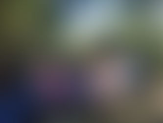 Une matinée chez les Eclaireurs