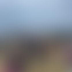 Un engagement pour la vie