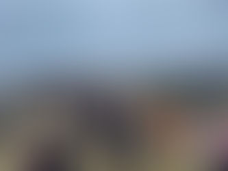 Un engagement pour la vie