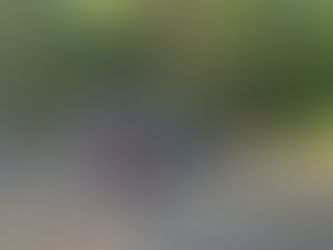 Première journée chez les Louveteaux 🐺