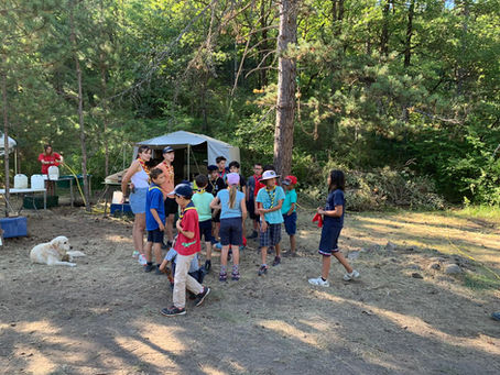 Première journée chez les Louveteaux 🐺