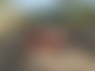 Dérouillage chez les Eclaireurs 🪢