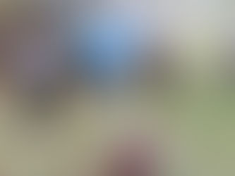 Premières installations et constructions 🤩