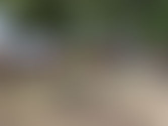 Premier repas entre Eclaireurs et Louveteaux 🍽️