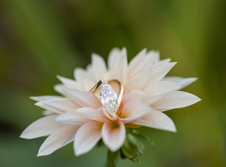 virginia photographer, dc photographer, couples photographer in virginia. Wedding photographer in Virginia. Engagement photographers in virginia, surprise engagement photographer