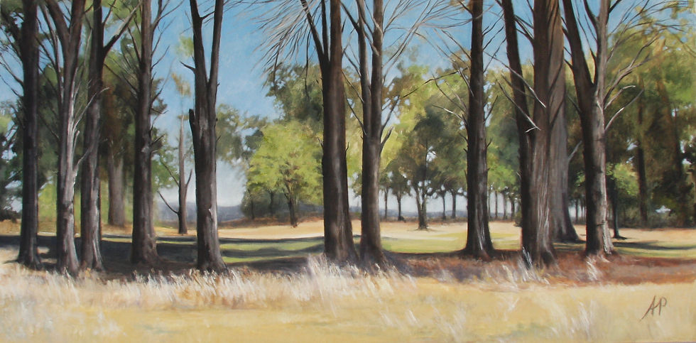 SOMERSET GOLF COURSE