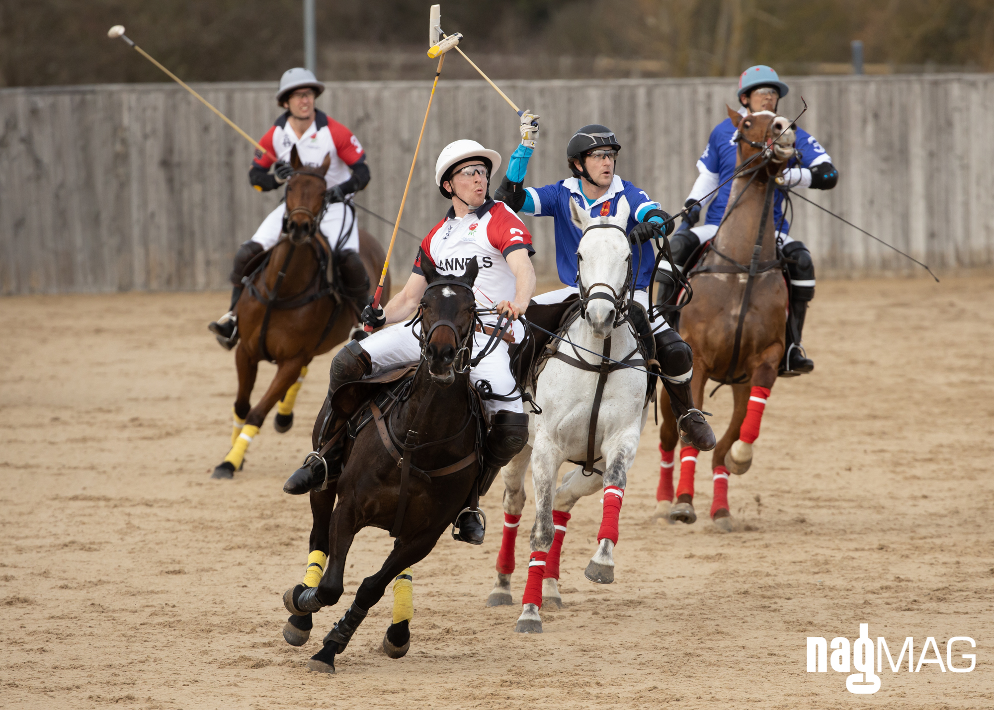 International Arena Polo Test Match
