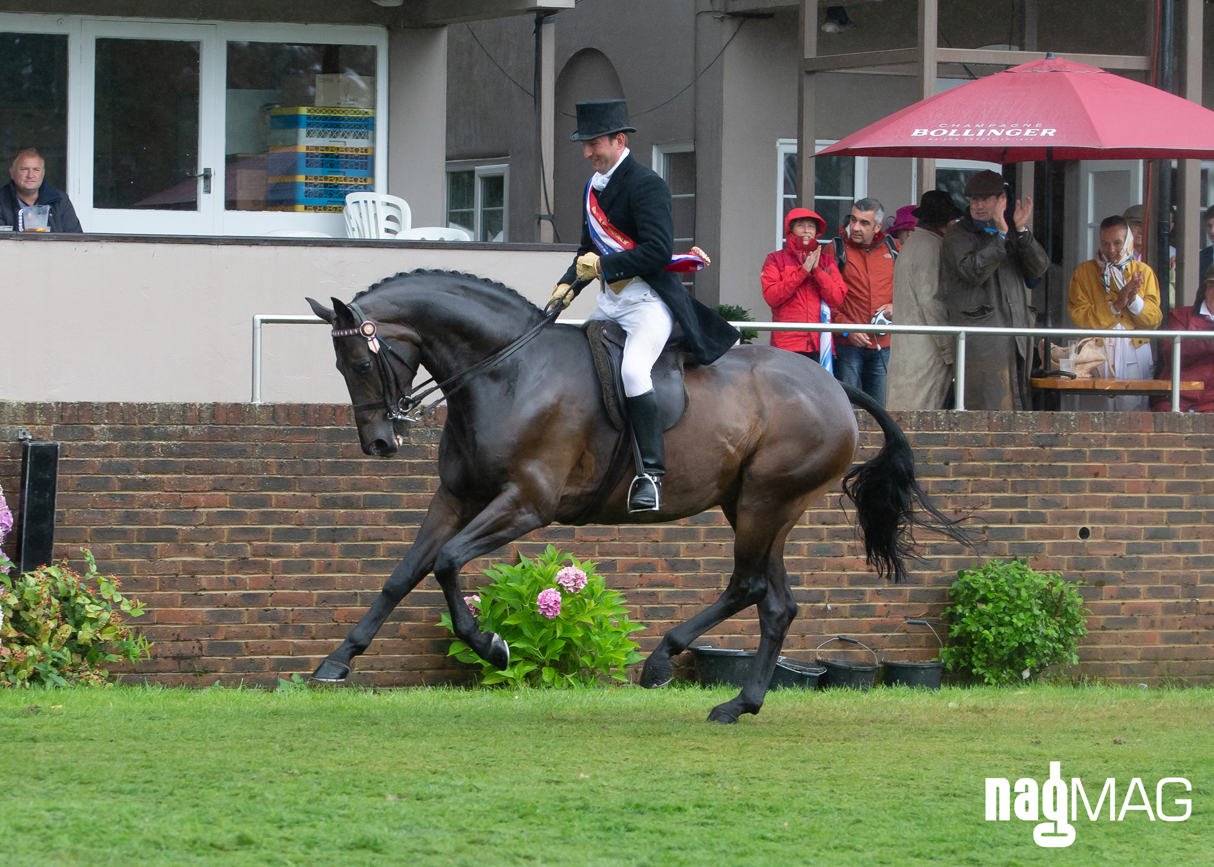 Royal International Horse Show 2018