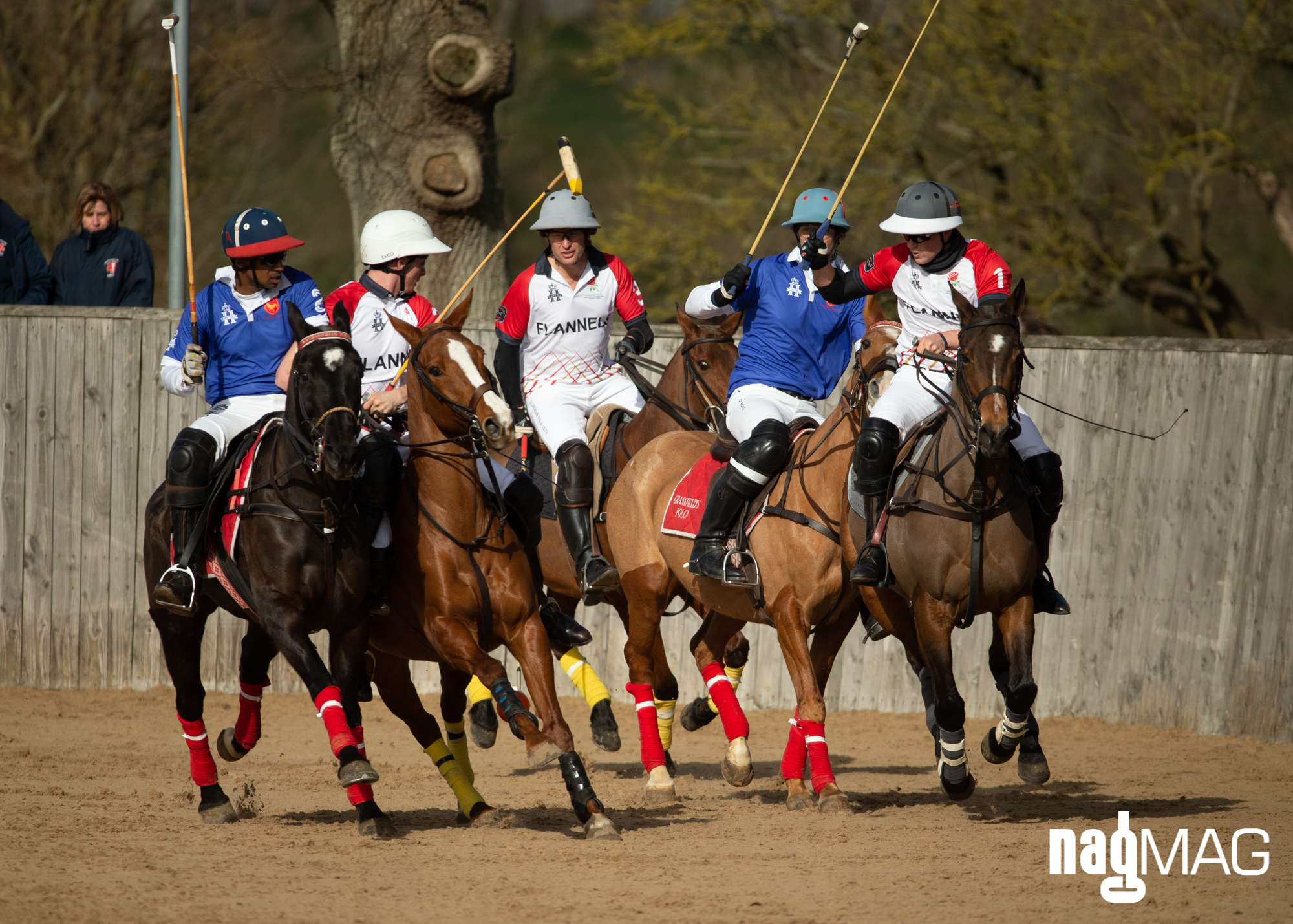International Arena Polo Test Match