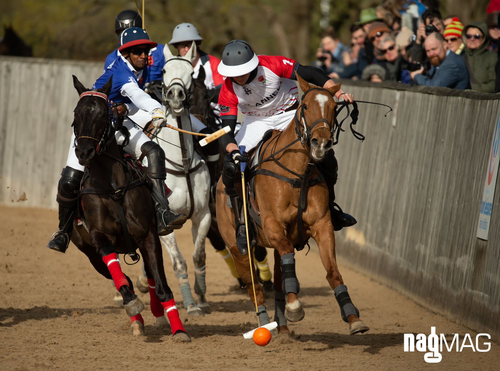 International Arena Polo Test Match