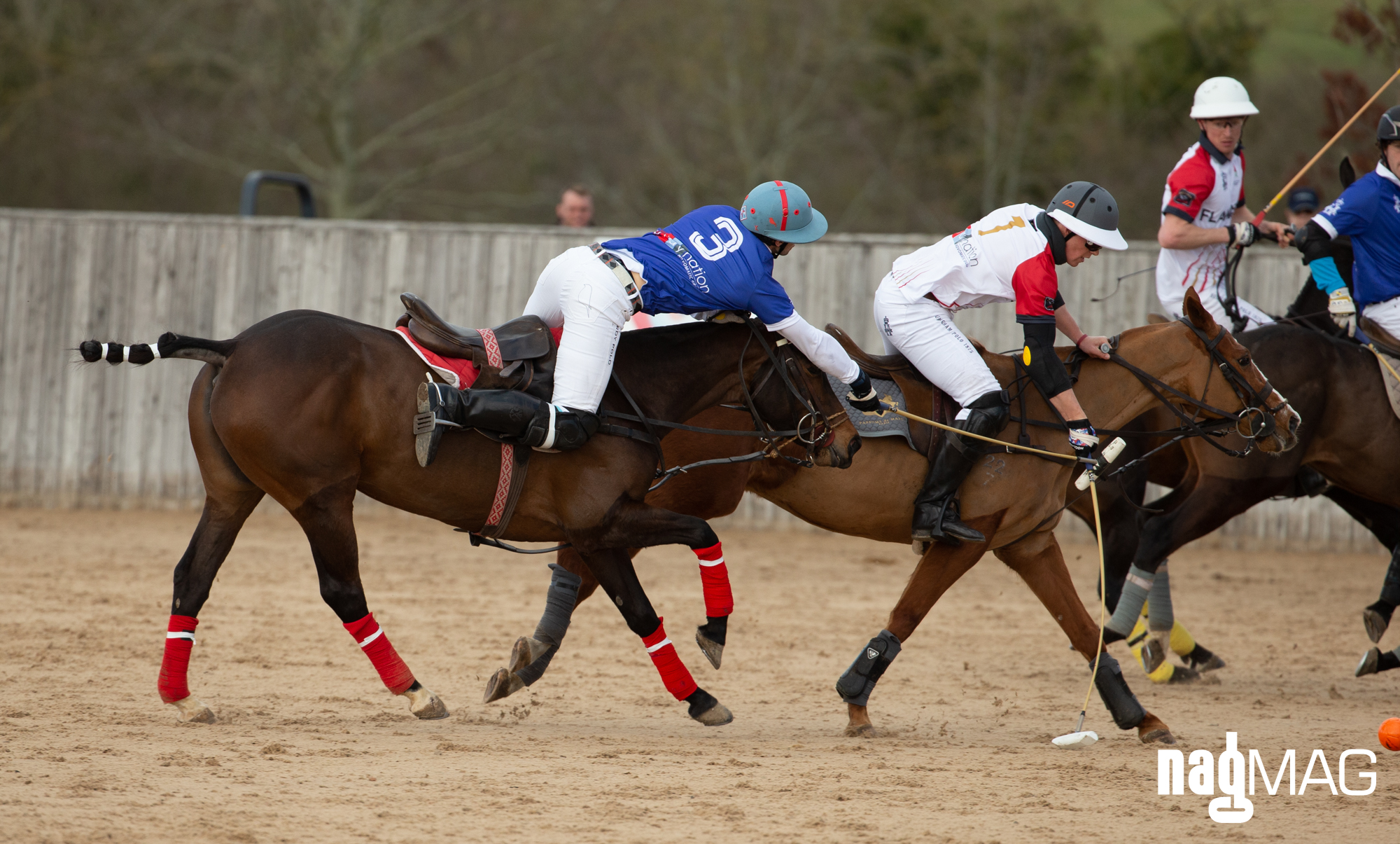 International Arena Polo Test Match
