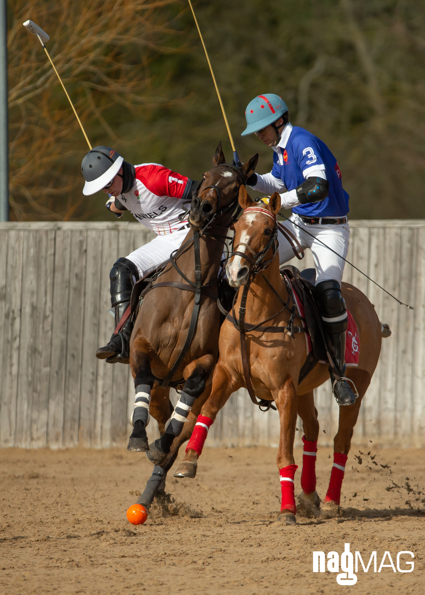 International Arena Polo Test Match