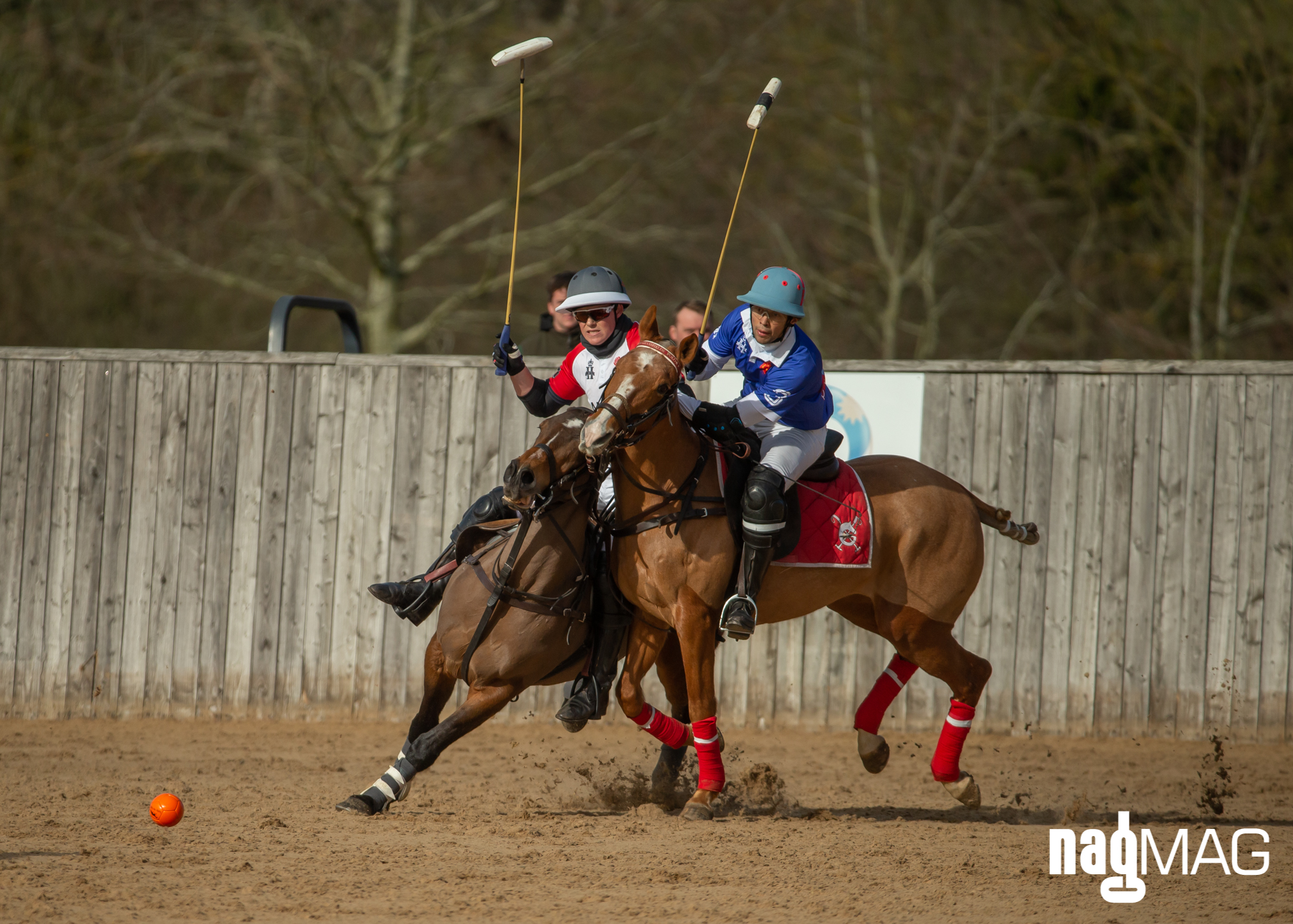 International Arena Polo Test Match