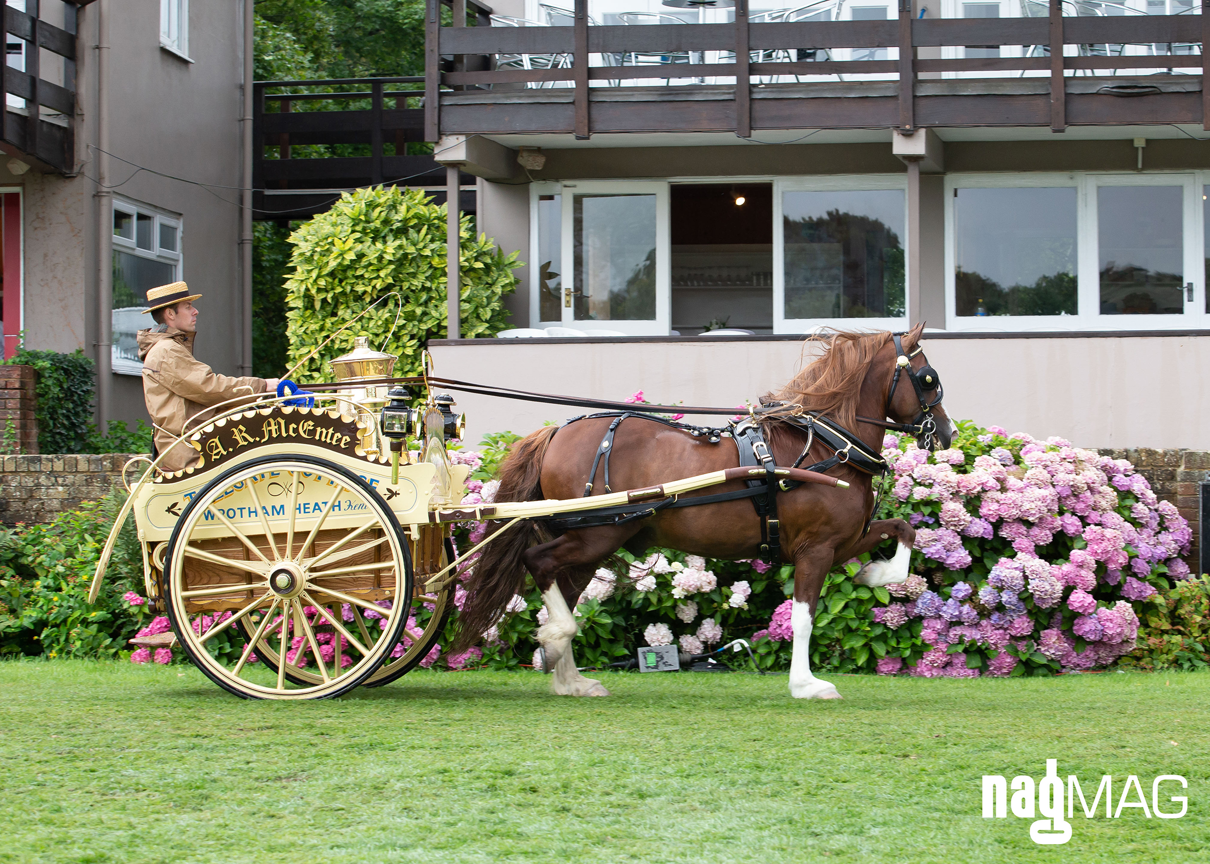 Royal International Horse Show 2018