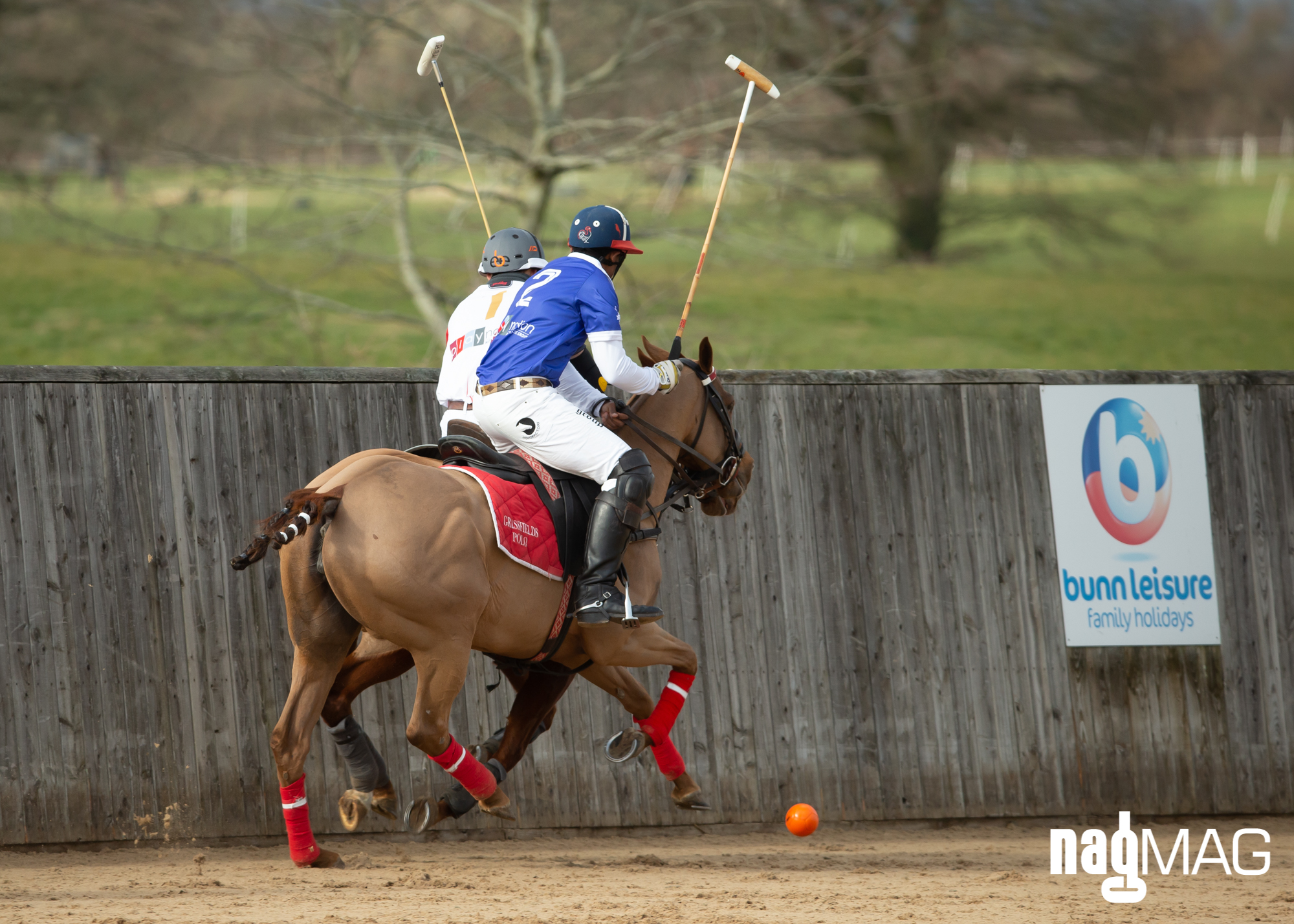 International Arena Polo Test Match