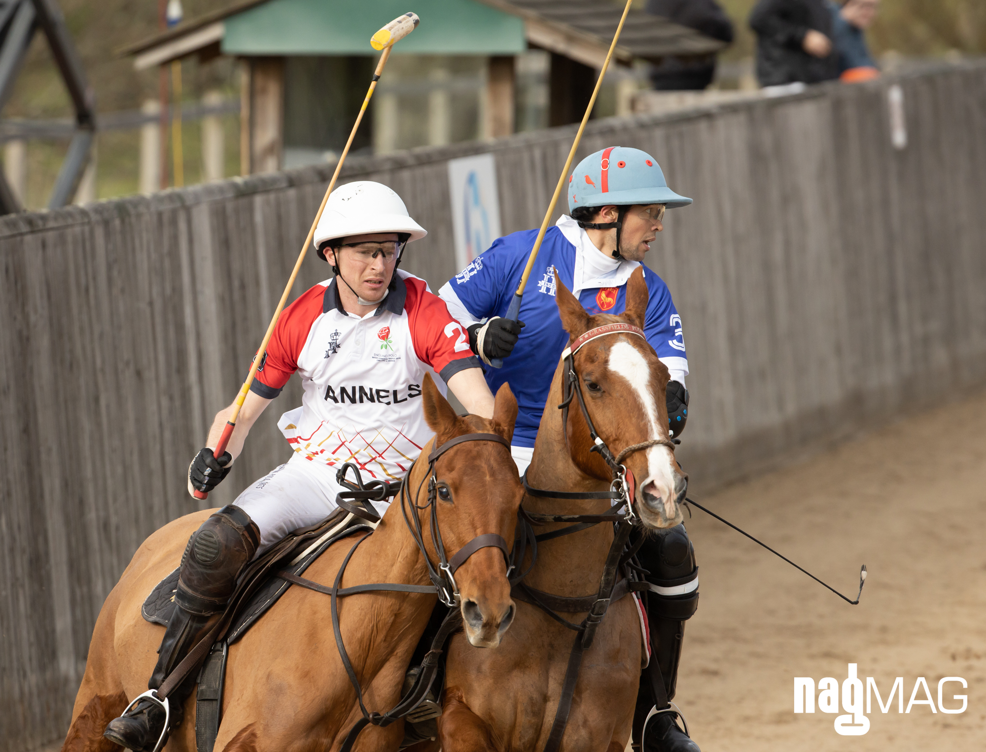 International Arena Polo Test Match