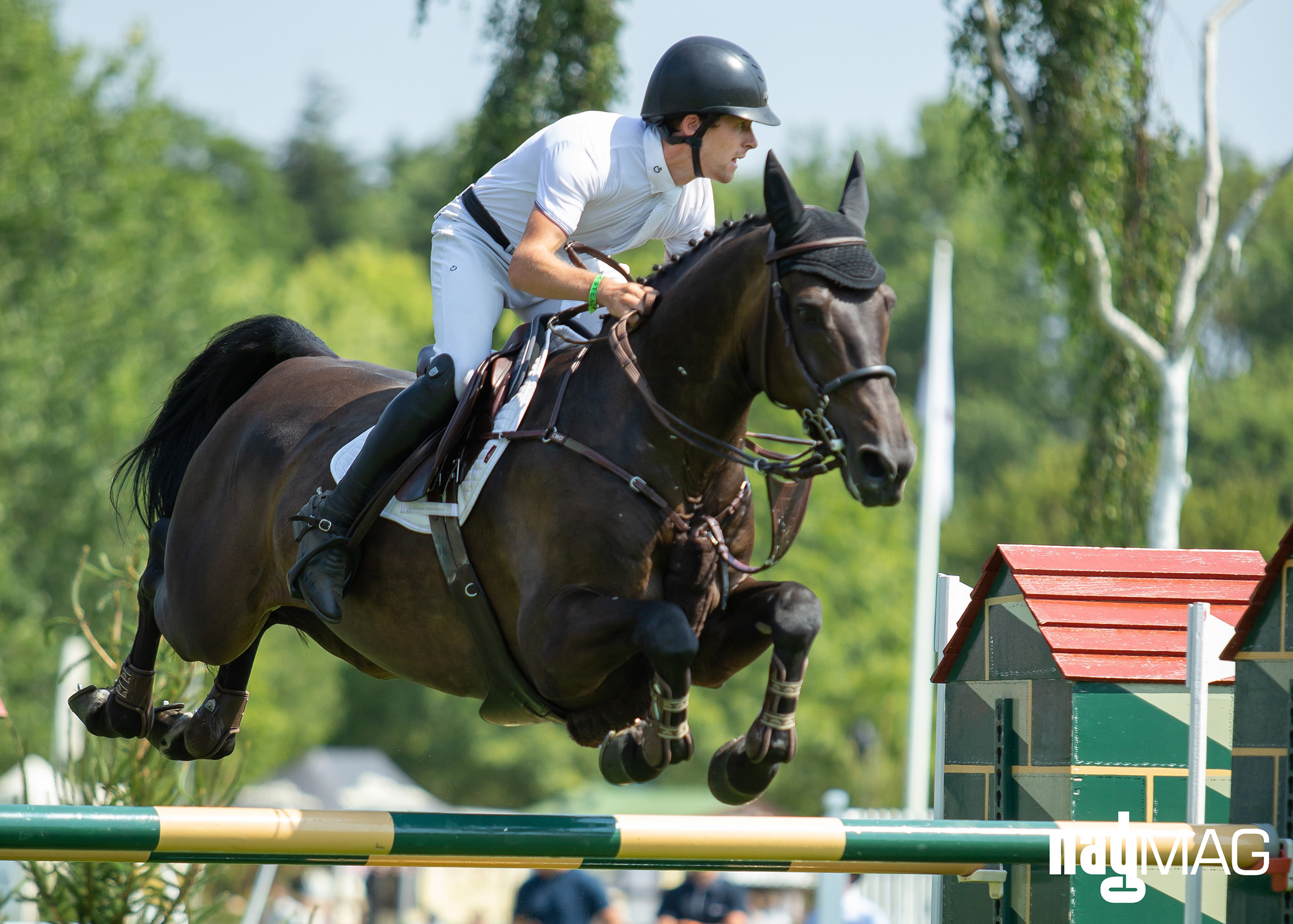 Royal International Horse Show 2018