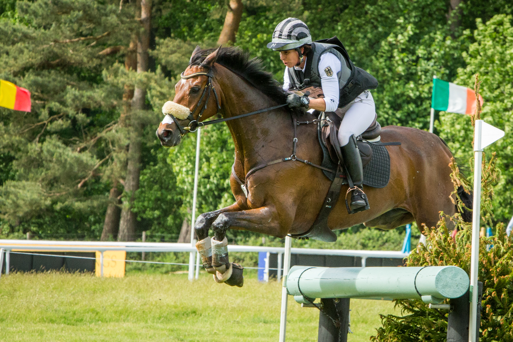Bettina Hoy (GER) SEIGNEUR MEDICOTT