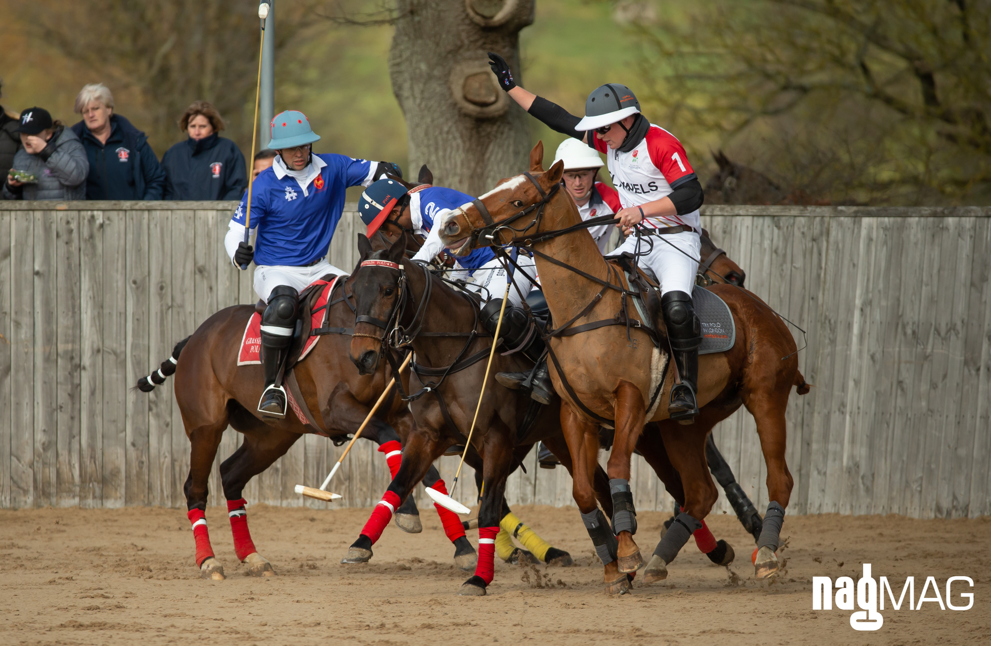 International Arena Polo Test Match