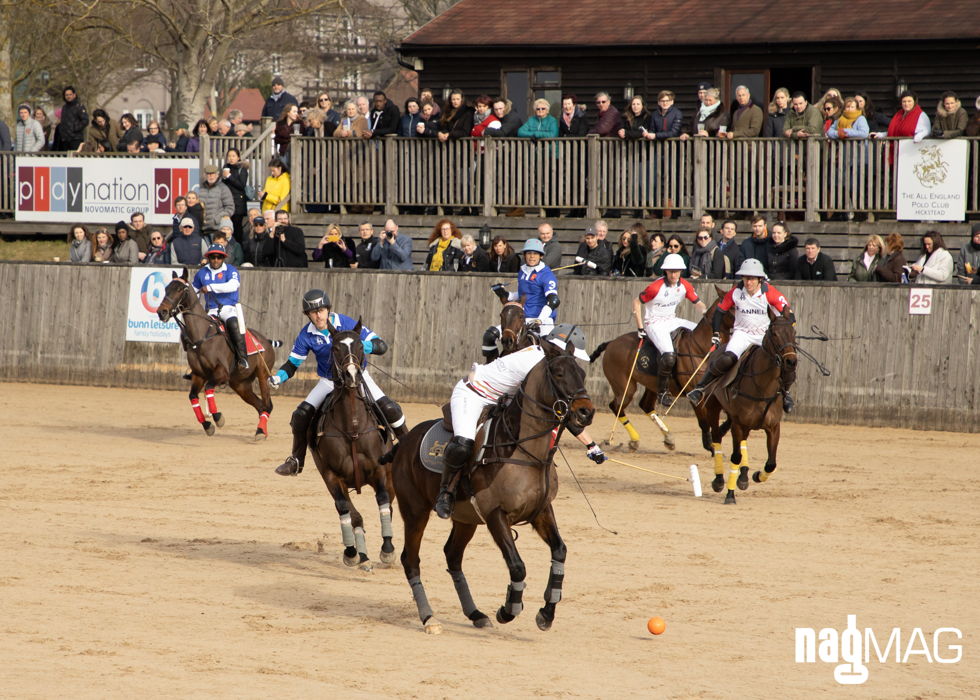 International Arena Polo Test Match