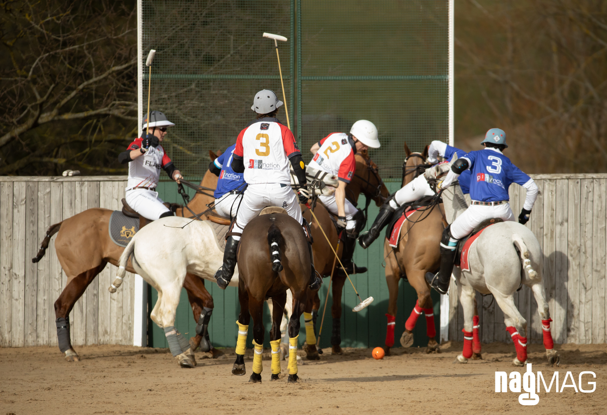 International Arena Polo Test Match