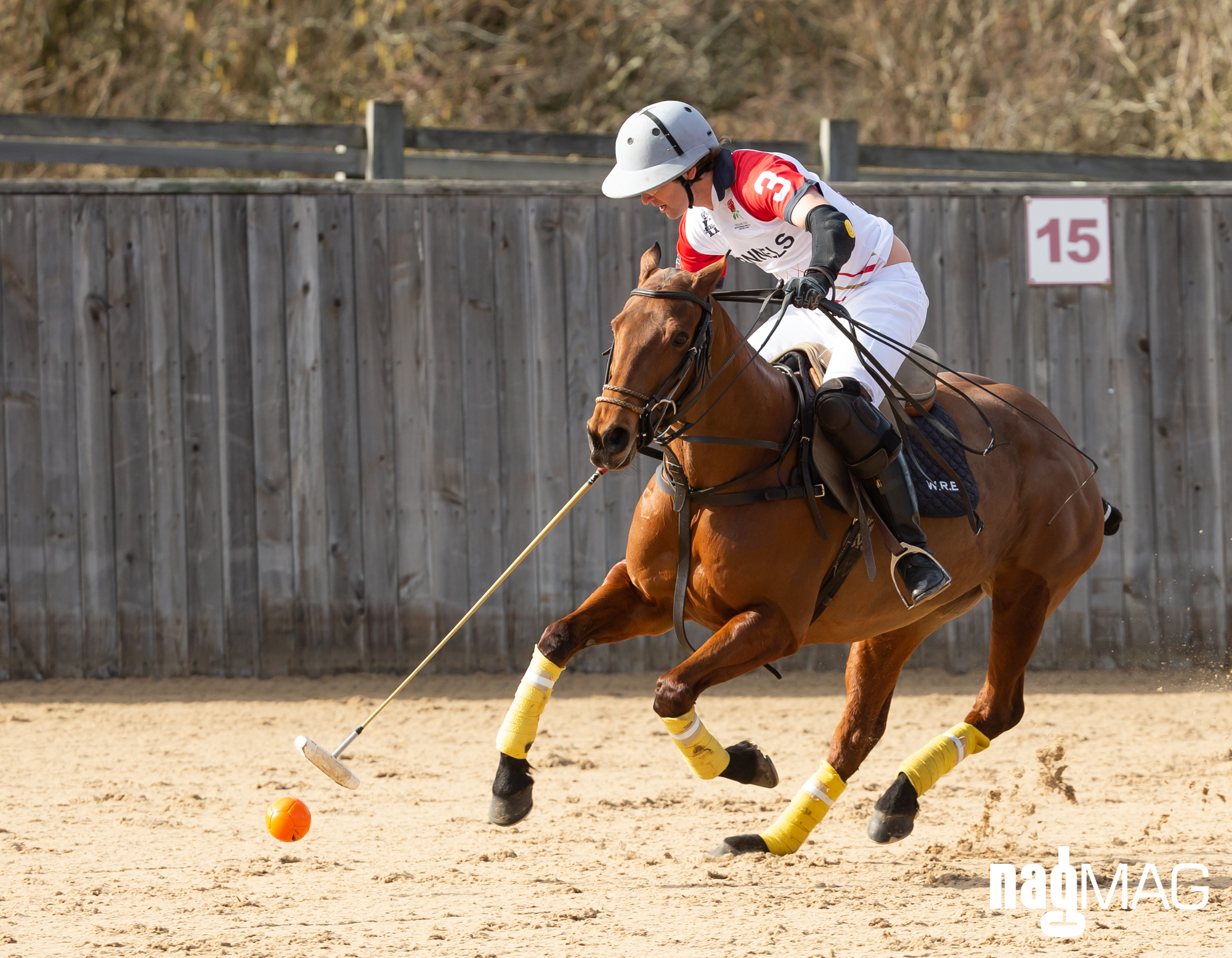 International Arena Polo Test Match