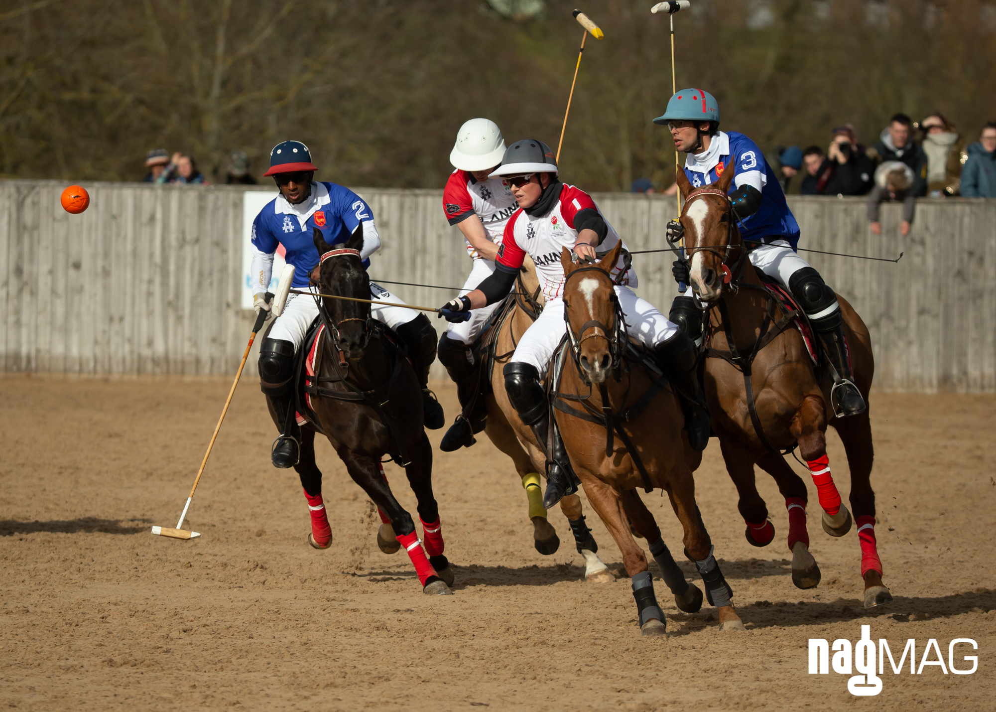 International Arena Polo Test Match