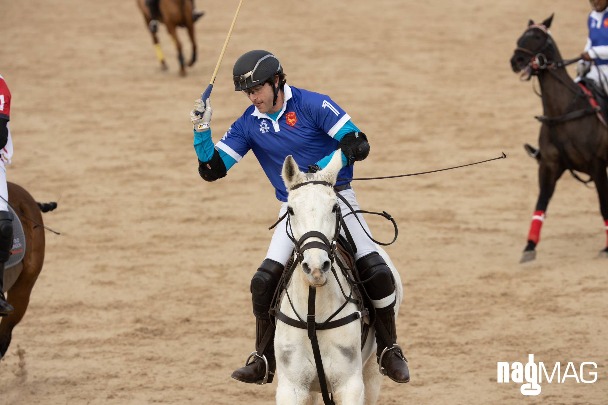 International Arena Polo Test Match