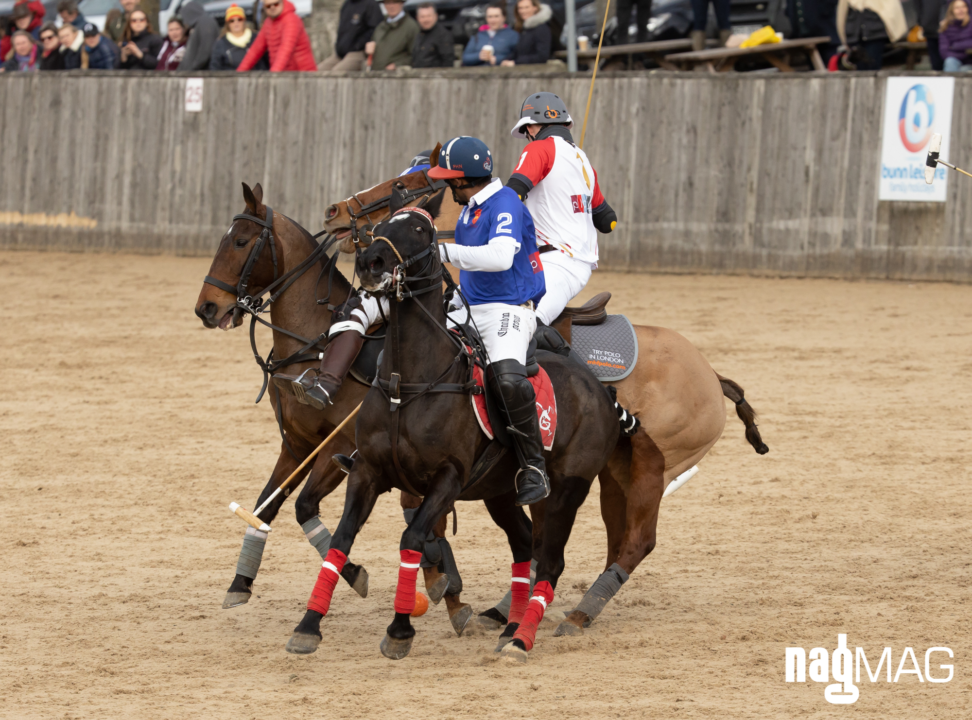 International Arena Polo Test Match