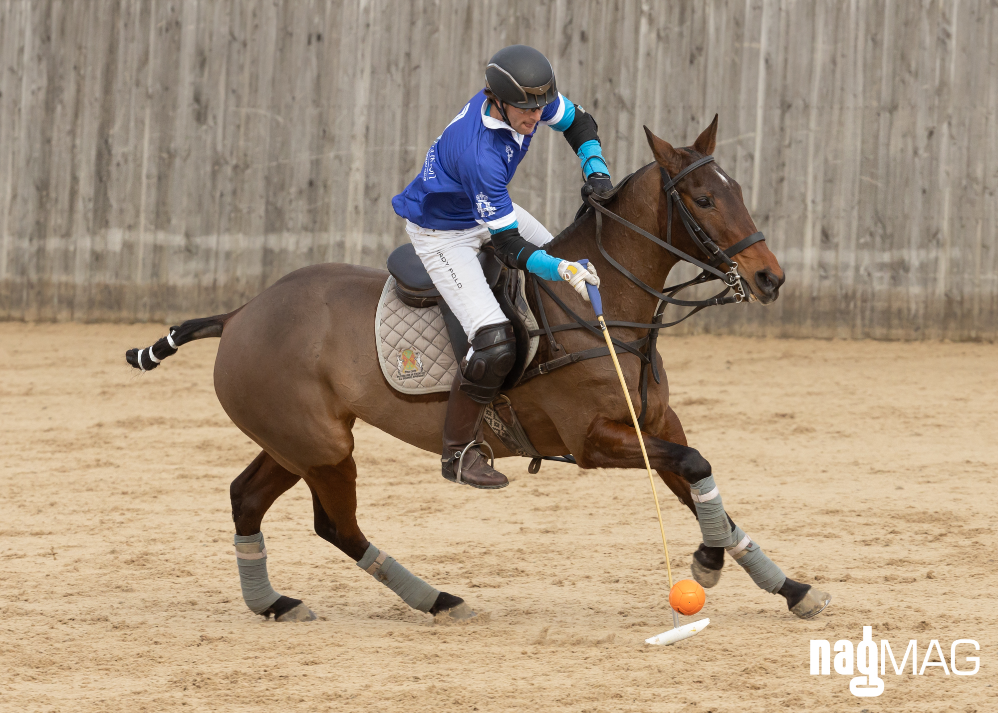International Arena Polo Test Match