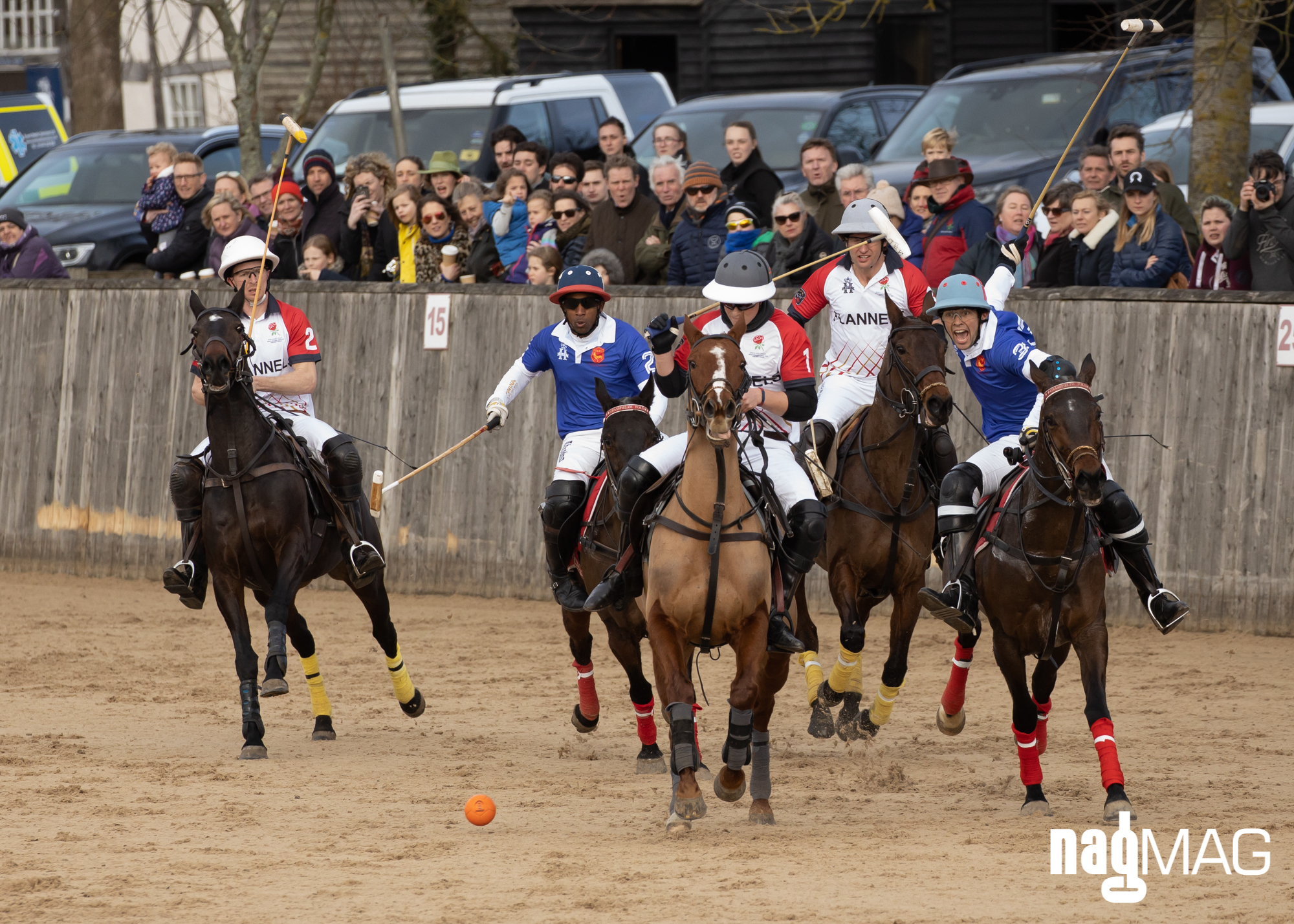 International Arena Polo Test Match