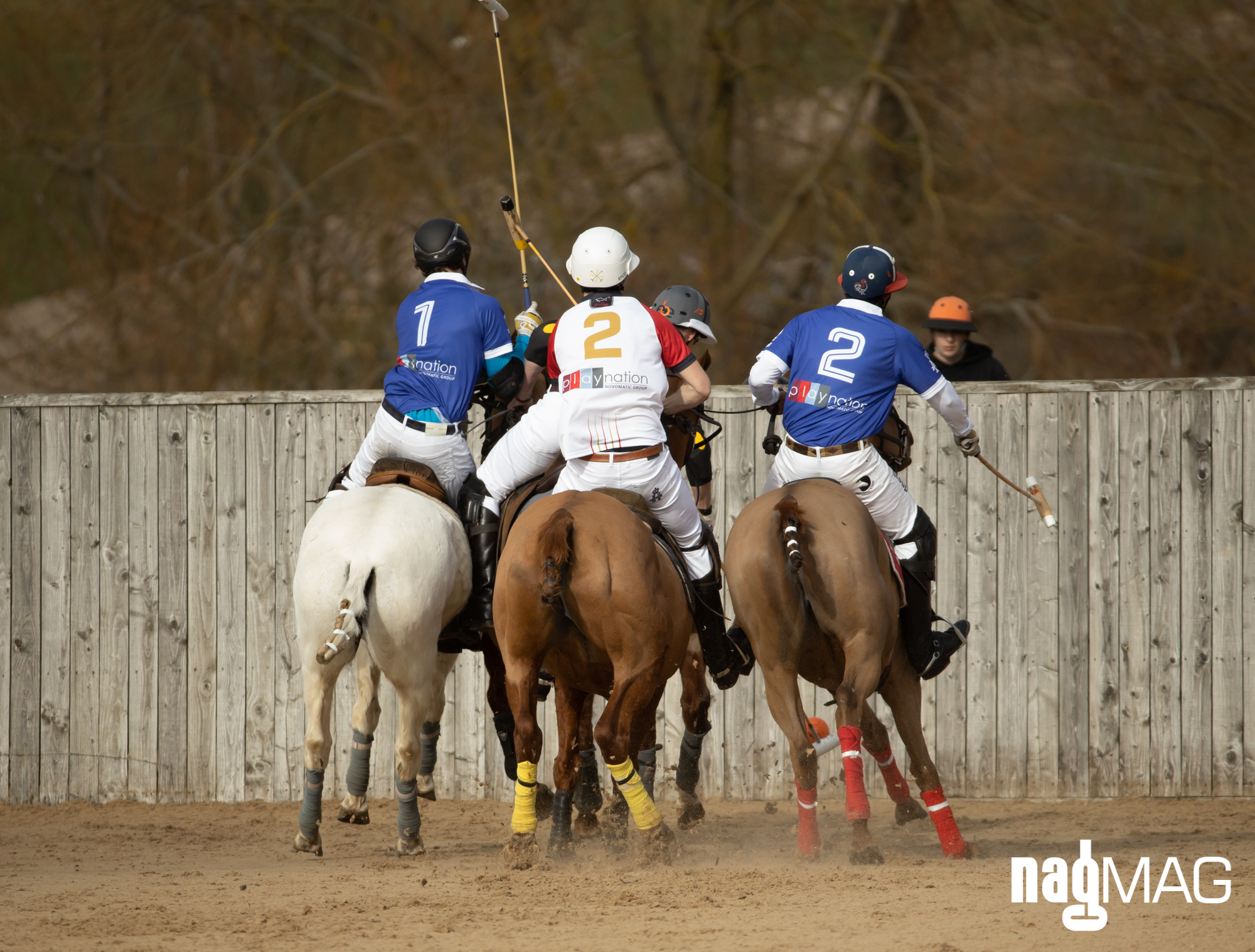 International Arena Polo Test Match