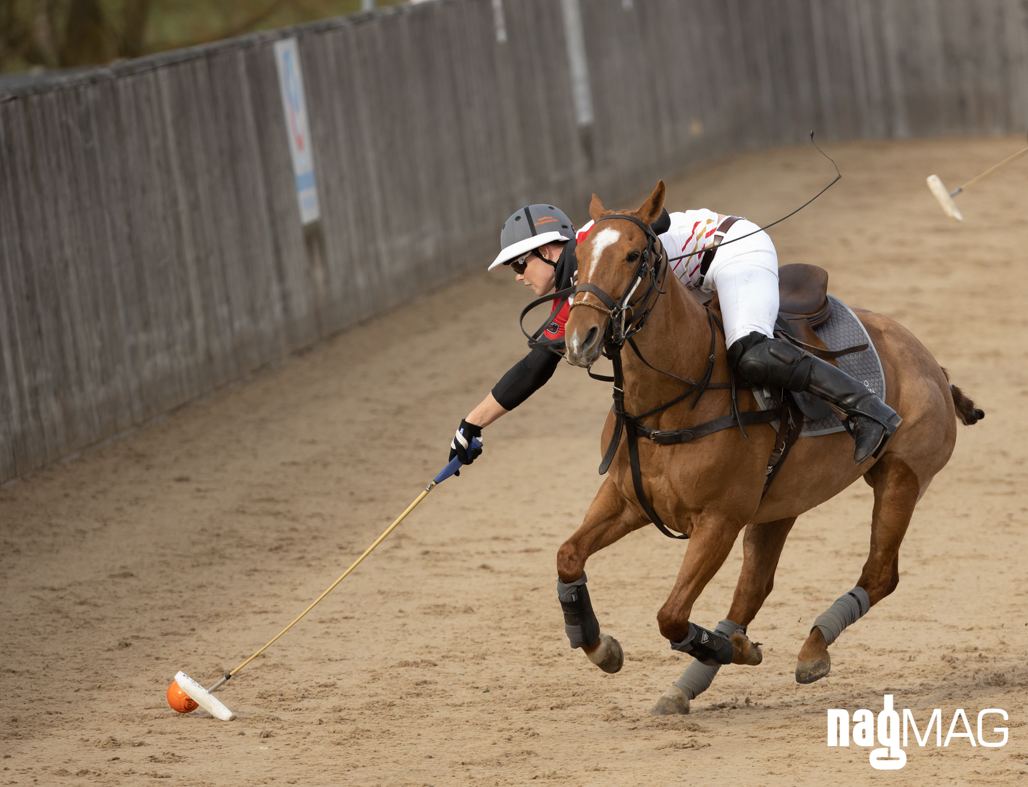 International Arena Polo Test Match