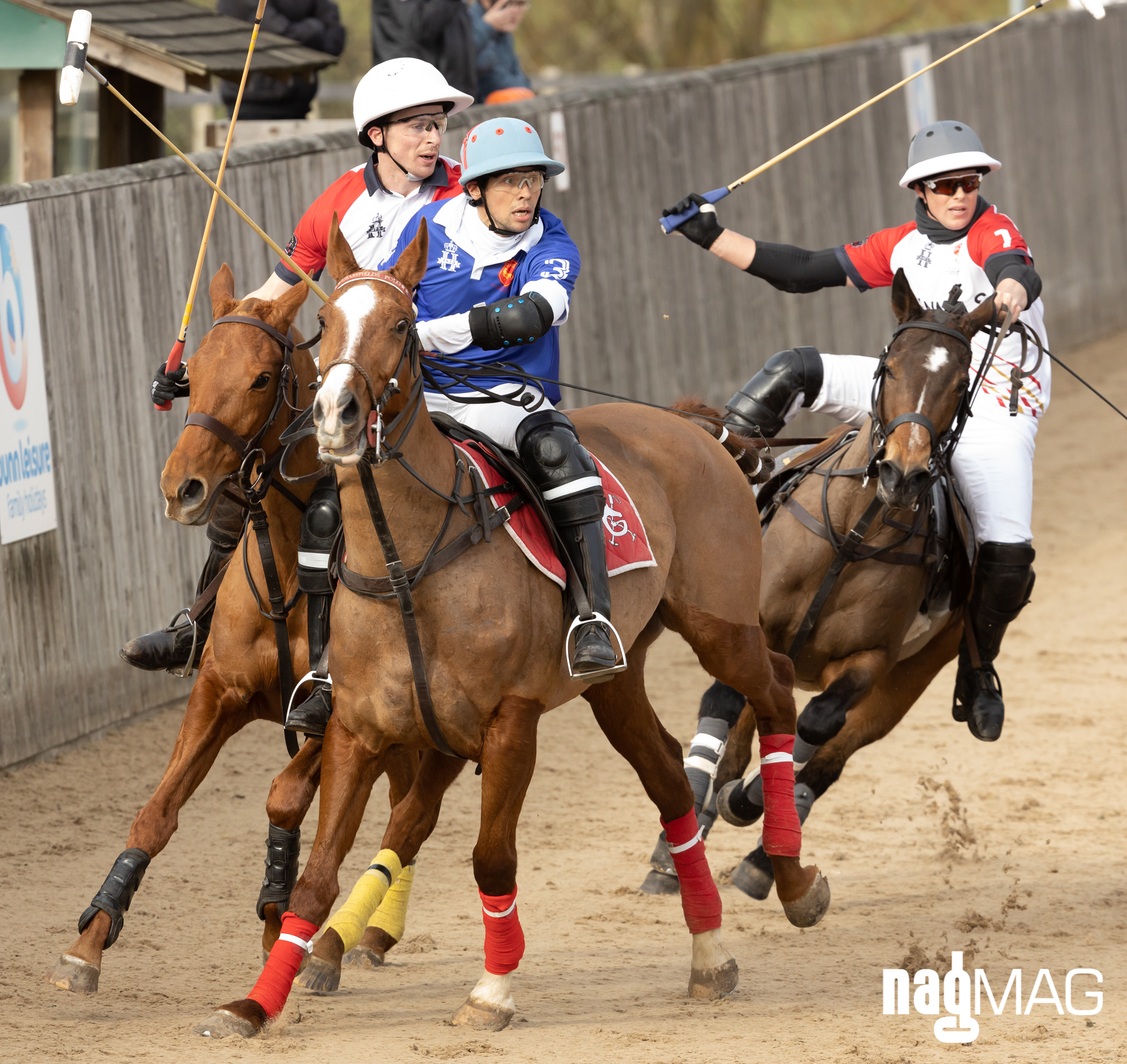 International Arena Polo Test Match