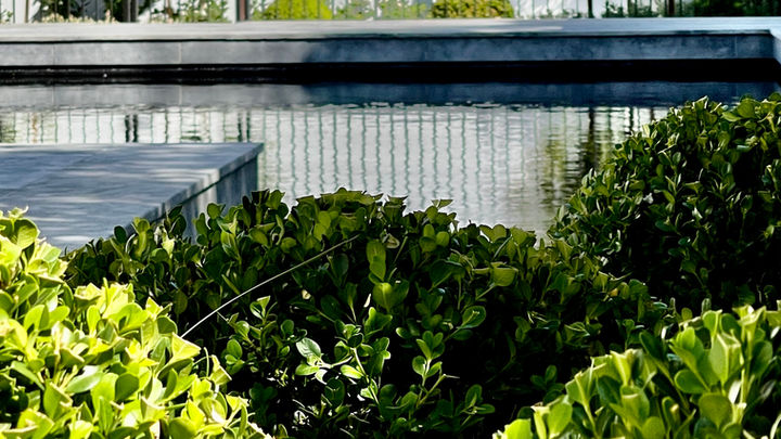Tristan Peirce Landscape Architecture, Pool and landscape Design, outdoor seating and form