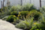 Tristan Peirce Landscape Architecture, Pool and landscape Design, outdoor seating and form