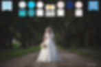 Wedding photographers in Columbia, SC