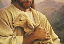 Good Shepherd Acupuncture And Naturopathic Medicine