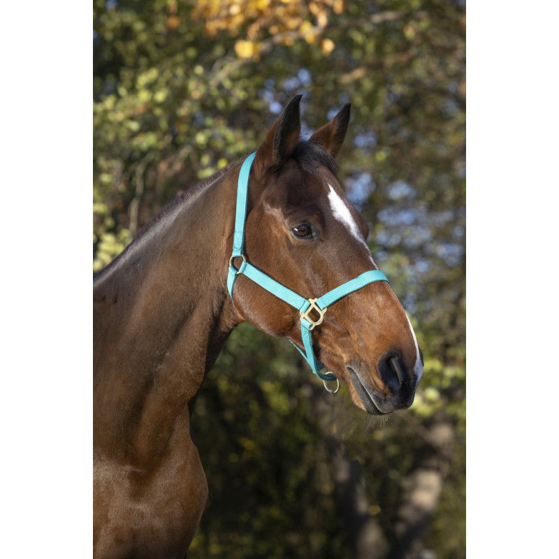 Miniature : TURQUOISE