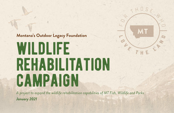 Wildlife Rehabilitation Campaign