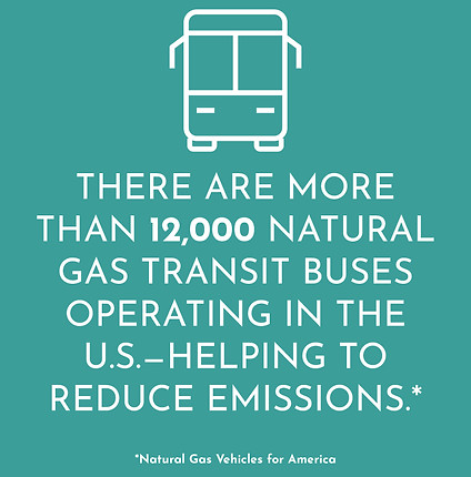 Transportation Infographic
