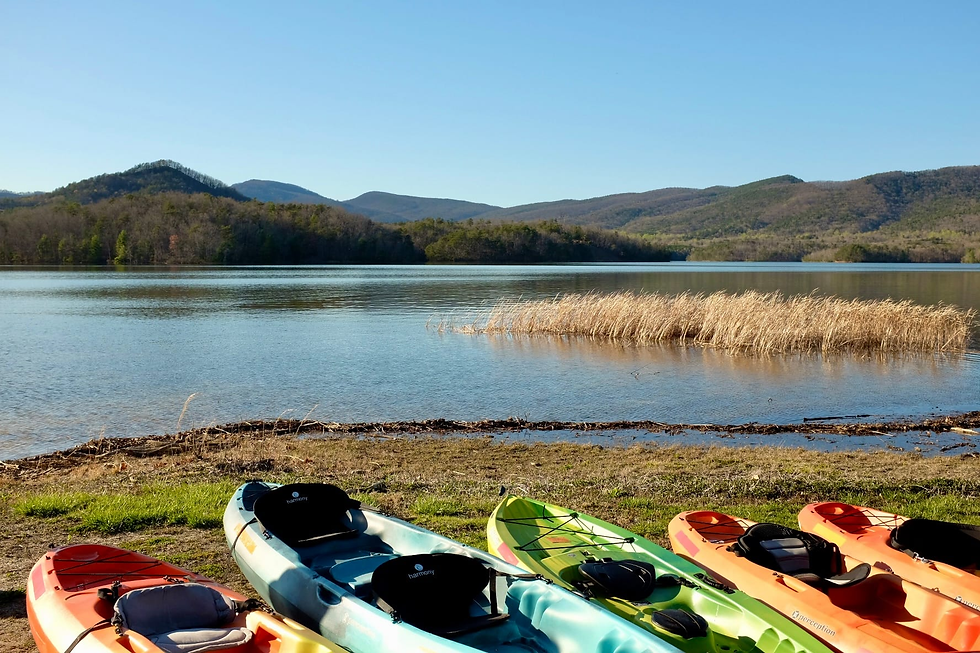 Roanoke Vice Mayor Terry McGuire expressed concerns about a potential major data center project, which he said could include impacts on recreation and outdoors tourism. Above, kayaks lie on the shore of Carvins Cove, as seen in 2024. ROANOKE RAMBLER FILE PHOTO BY HENRI GENDREAU