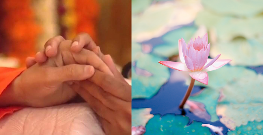 BABA_ハス.png