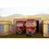 Thumbnail: PB Potter Bar LT central bus garage 1/76