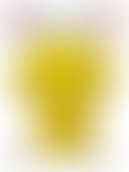 kemeja partai golkar