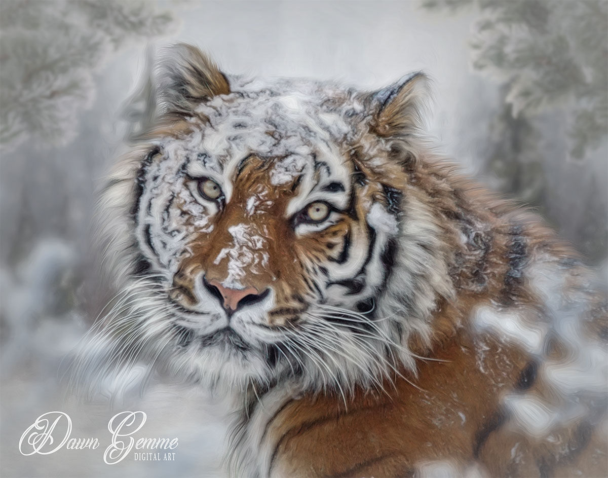 Snow Tiger Wildlife Portrait Painting