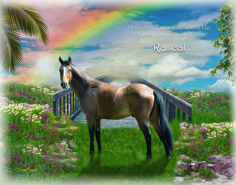 Rainbow Bridge Pet Memorial Customized Photo Paintings